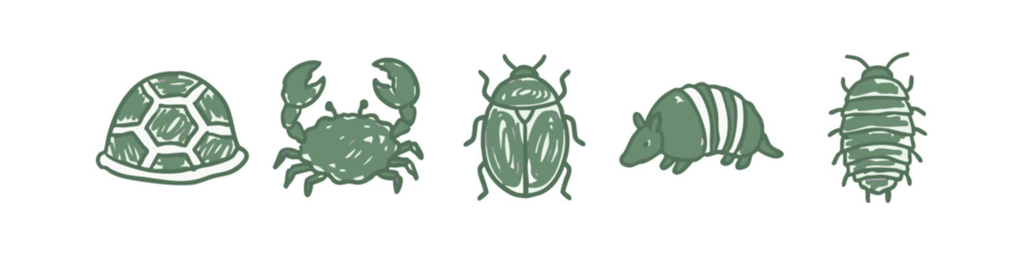 Five hand-drawn illustrations of insects and crustaceans