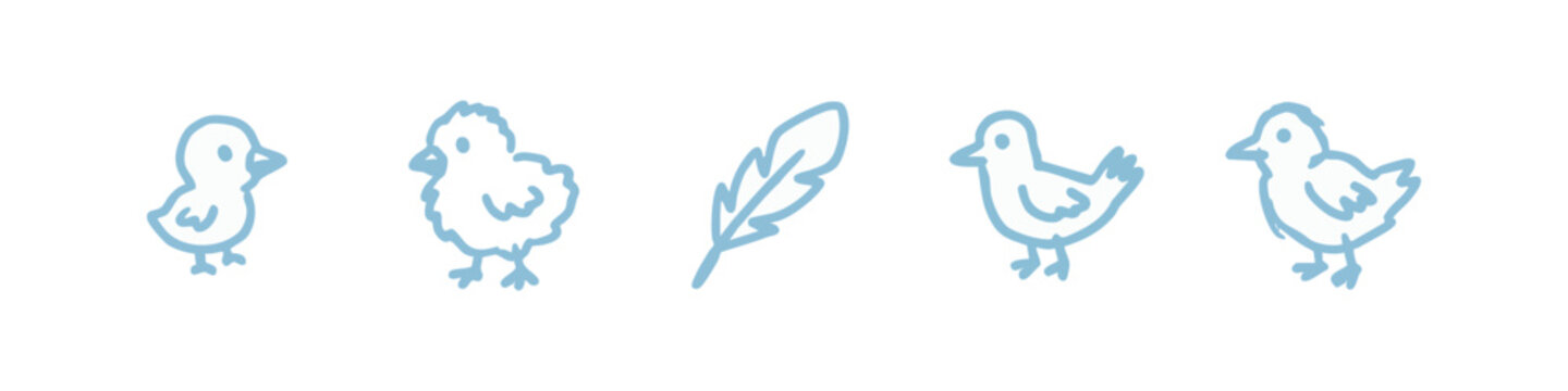 Baby Bird Chick and Feather Icons in Light Blue