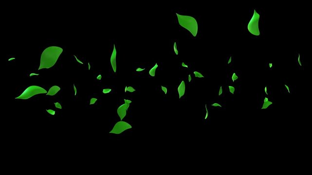 Fresh green leaves blowing across frame in wind isolated on transparent background &ndash; seamless natural overlay video asset