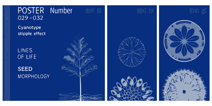 Cyanotype poster displaying botanical illustrations and scientific typography