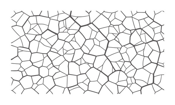 Irregular polygonal network pattern with thick dark gray lines white