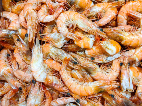 Freshly boiled sea shrimp with shells intact, glowing orange-pink in color, ready to be served and enjoyed as a nutritious seafood rich in protein and flavor.