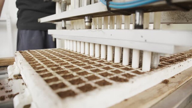 Close-up of a modern automated agricultural machine pressing indentations into a soil-filled grid tray for planting seeds