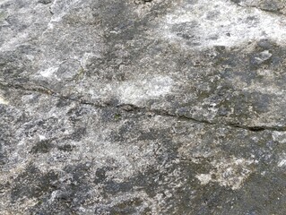 Rough concrete texture. Cracked pavement surface detail.