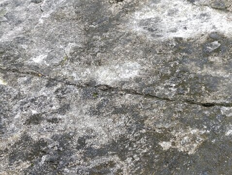 Rough concrete texture. Cracked pavement surface detail.