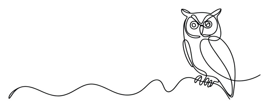 Minimalist continuous line drawing of a wise owl perched on a wavy branch, perfect for modern logo design or educational content.