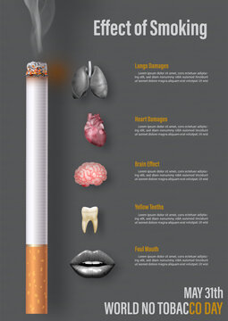 hookah tobacco wholesale distributors Hookah Paradise: Buy Hookahs & Shisha Retail, Wholesale hookah tobacco wholesale distributors Hookah Paradise: Buy Hookahs & Shisha Retail, Wholesale