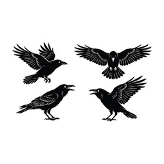 Fototapeta premium Four black crows in flight and standing
