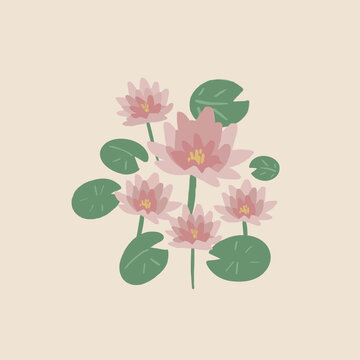 Beautiful pink water lily flowers and green leaves illustration. Hand-drawn lotus botanical vector clip art.