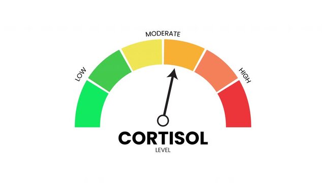 Cortisol level gauge illustration with needle pointing to high stress zone on white background for medical and wellness infographics.