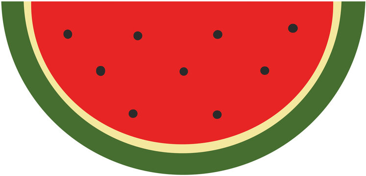 watermelon vector illustration
