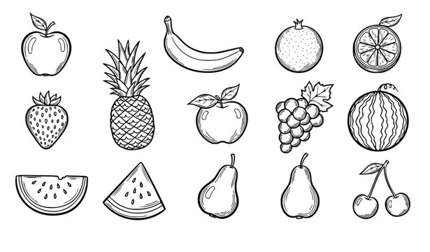 Fruit doodle vector set hand drawn outline sketch popular fruits illustration