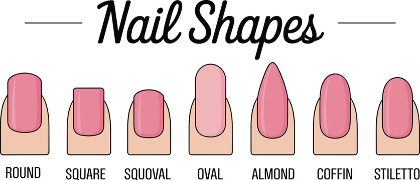 Professional nail shapes guide vector illustration featuring round square squoval oval almond coffin and stiletto styles for manicure salons beauty clinics and fashion education posters