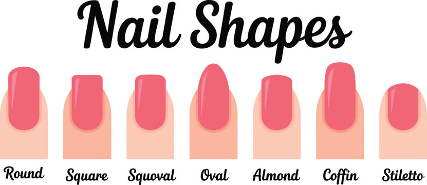 Professional nail shapes guide vector illustration featuring round square squoval oval almond coffin and stiletto styles for manicure salons beauty clinics and fashion education posters