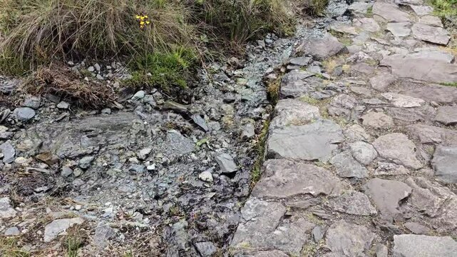 Cusco Region, Peru - 24 June 2024. Narrow stream flows across rocky ground next to uneven Inca Trail stones, bordered by grass and small plants.