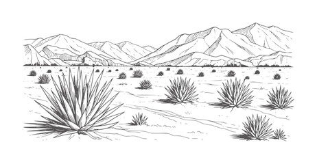 Black and white of a desert landscape with agave plants and mountains © Ali