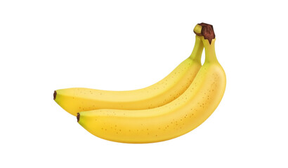 Two ripe bananas on a white background a still life composition © MdRimon