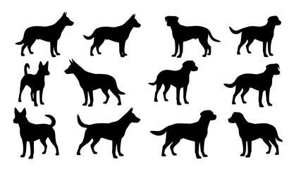 Black silhouettes of various dog breeds in different poses © MdRimon