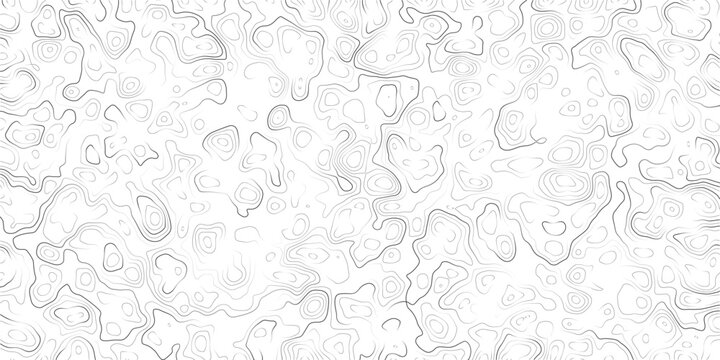 Abstract topographic map pattern with wavy lines and contours on white background_1