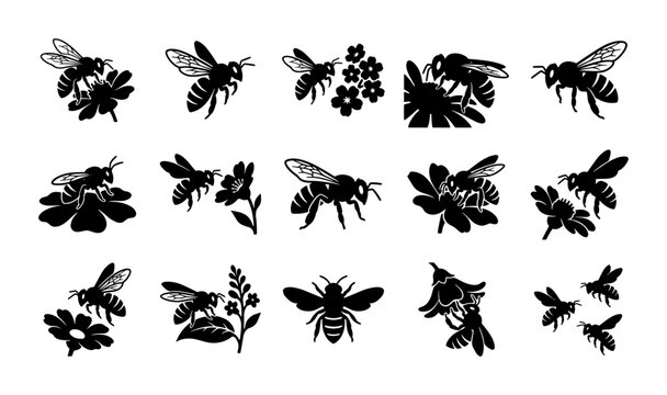 Vintage honey bee silhouette icons, set of 15 bumblebee and flower vector illustrations, black honeybee garden nature graphics for organic branding