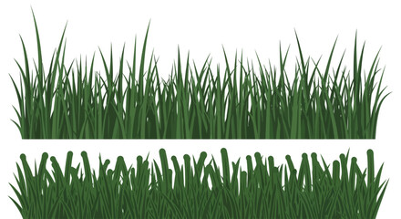 Green grass blades isolated on white. © Alpin