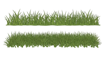 Green grass blades isolated on white. © Alpin
