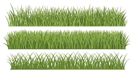 Green grass blades in rows. © Alpin