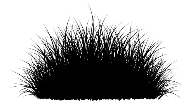 False eyelashes for makeup application.