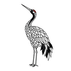 Obraz premium Elegant Japanese Crane Bird Illustration with Detailed Feathers.