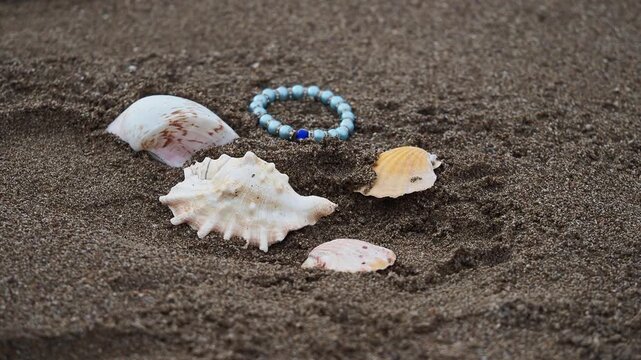 Seashells and bracelet on the sandy beach