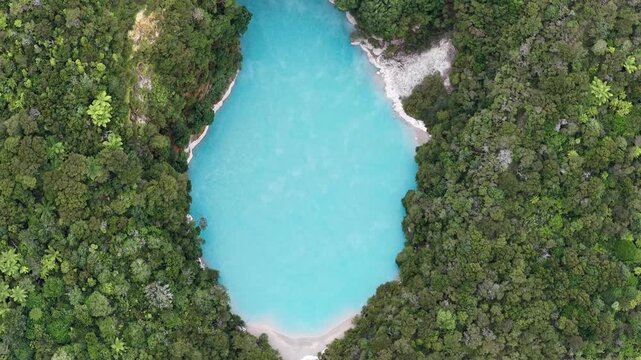 Top view aerial of turquoise crater lake with clean composition and dense forest edges in Waimangu Volcanic Valley New Zealand.