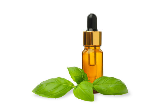 Basil leaves with an essential oil dropper bottle, PNG