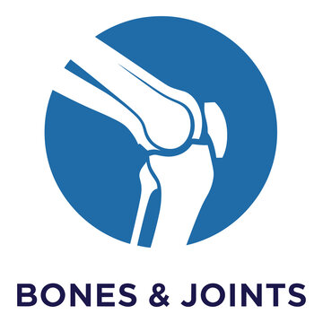Blue knee joint bones and joints anatomy human body illustration icon