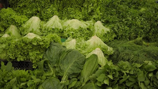 Fresh green vegetables on display in a market