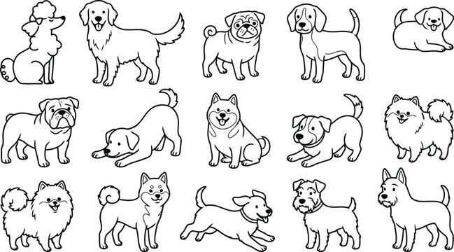 Collection of various dog breeds in a simple line art style with illustration collection different domestic companion standing retriever