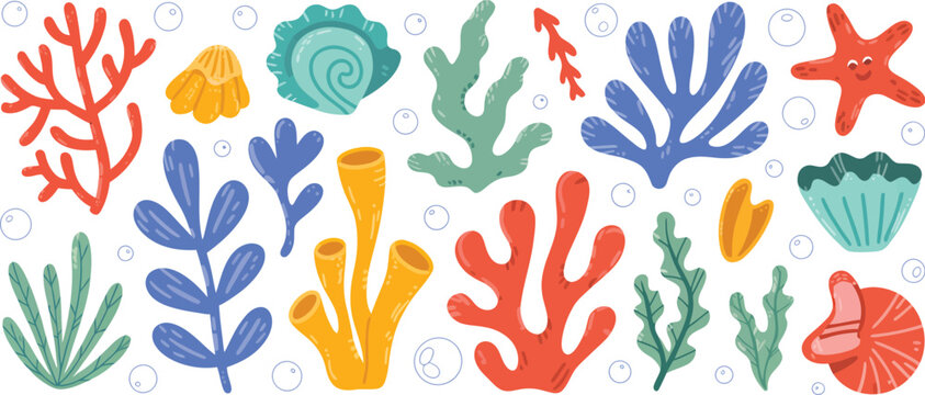 Set of coral and seaweed, hand drawn aquarium plants, underwater ocean flora, seashell, algae, and starfish, vector illustration of marine plants and seabed animals in flat cartoon style
