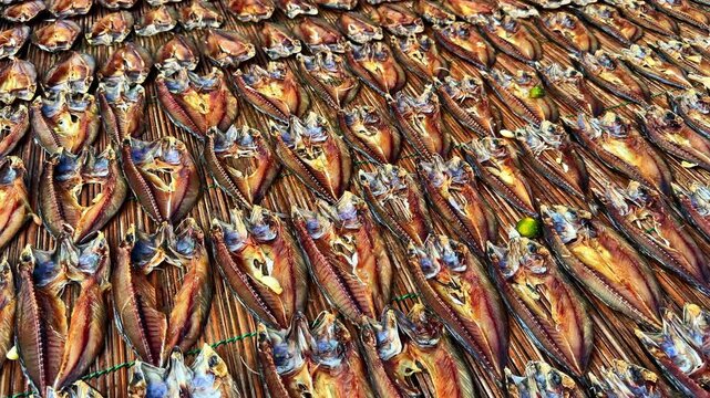 Rows of fresh fish split open and laid to dry under sun on traditional wooden mats in Southern Leyte