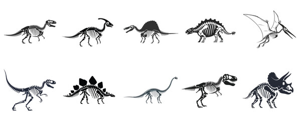 Dinosaur Fossil Skeleton Set Prehistoric Bones Collection Jurassic Reptile Anatomy Vector Illustration Black Silhouette Isolated Design Pack © NineteenVisualStudio