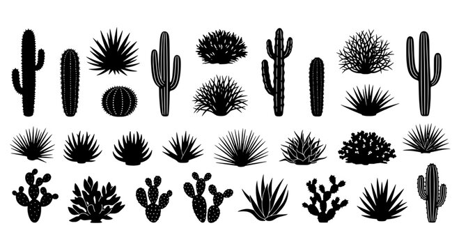 Cacti and succulents black silhouette set with various desert plants and spiky textures on white background