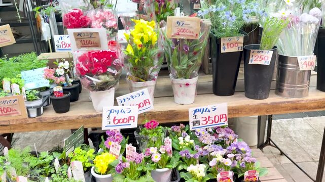 Camera panning upward showing diverse outdoor flower shop display with various potted plants and bouquets.