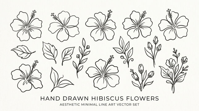 Hand drawn abstract minimal element, hibiscus flowers vector set. Aesthetic contemporary line art.