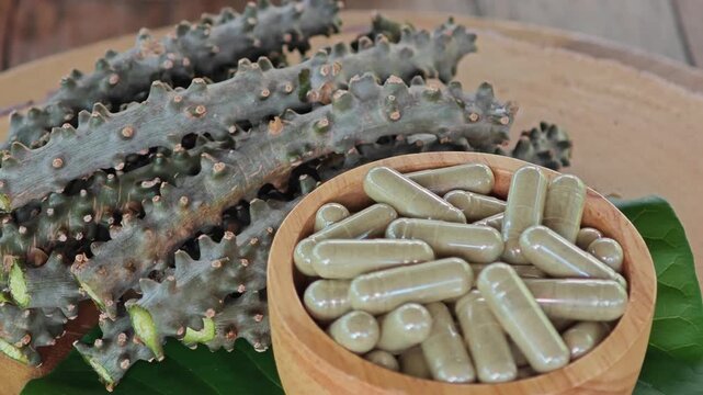 Heart leaved moonseed, Tinospora cordifolia. Thai herb capsules.