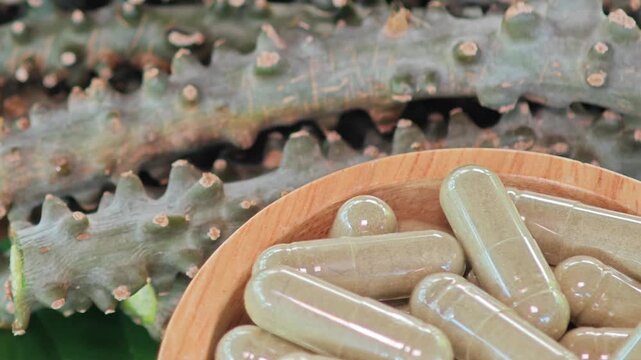 Heart leaved moonseed, Tinospora cordifolia. Thai herb capsules.