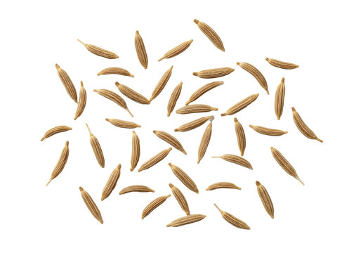 Multiple light brown dried whole cumin seeds, distinct texture, scattered on pristine transparent background with copy space. Top-down macro food photography concept for spice advertising
