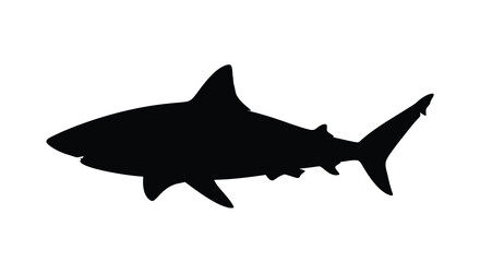 Obraz premium A striking black silhouette of a large shark swimming gracefully