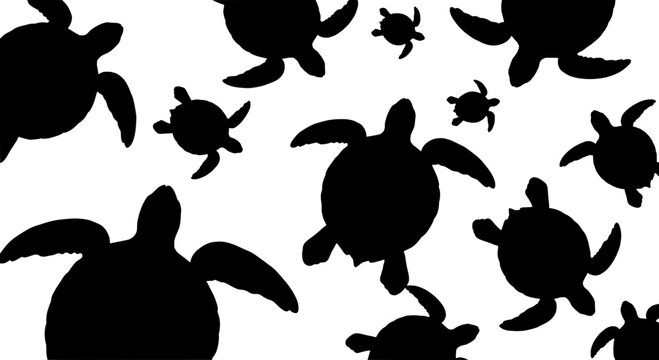 Katydid beetle silhouette doodle set with grunge speckles and flying insect shapes for nature themed icons