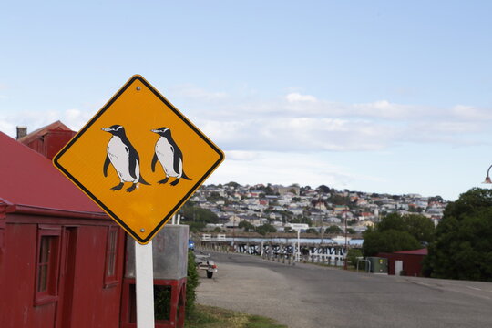 Penguin Crossing Sign on coastal road in Oamaru, New Zealand