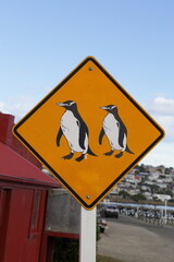 Penguin Crossing Sign on coastal road in Oamaru, New Zealand © MonoNature