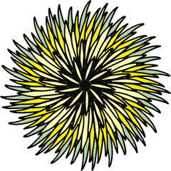 Obraz premium round yellow and black flower, bunch of flower isolated on white background, Symmetrical stylized flower 