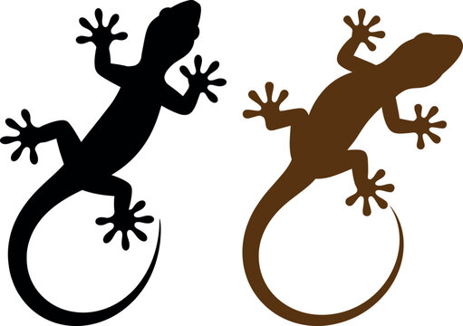 Two geckos depicted with contrasting colors in a minimalist style design.